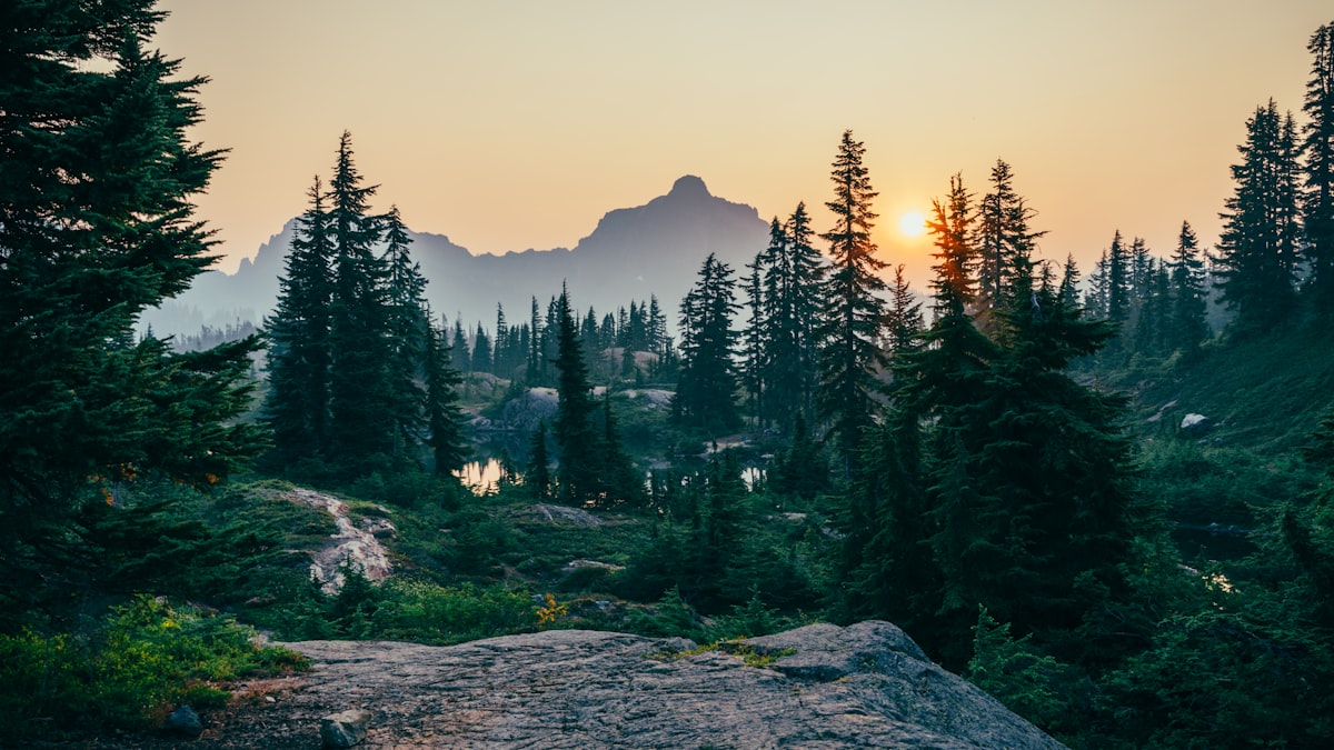 普洱景迈山